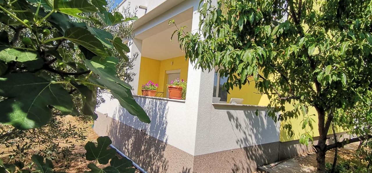 Anđela Home - Krka waterfalls Lozovac Exteriör bild